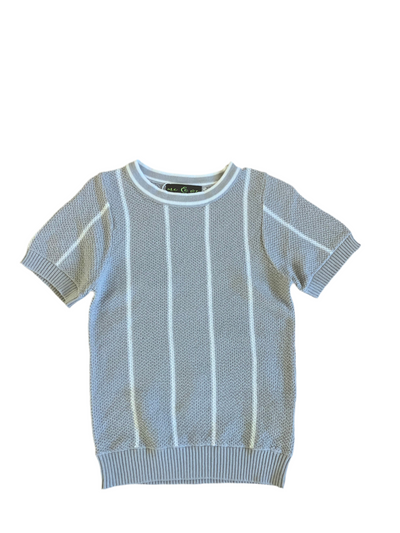 Short sleeve Grey Stripe Knit Top